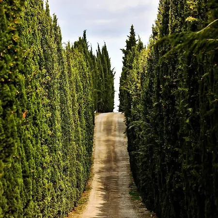 Casalchino-fattoria La Torre