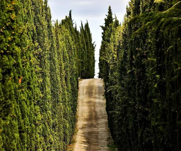 Casalchino-fattoria La Torre